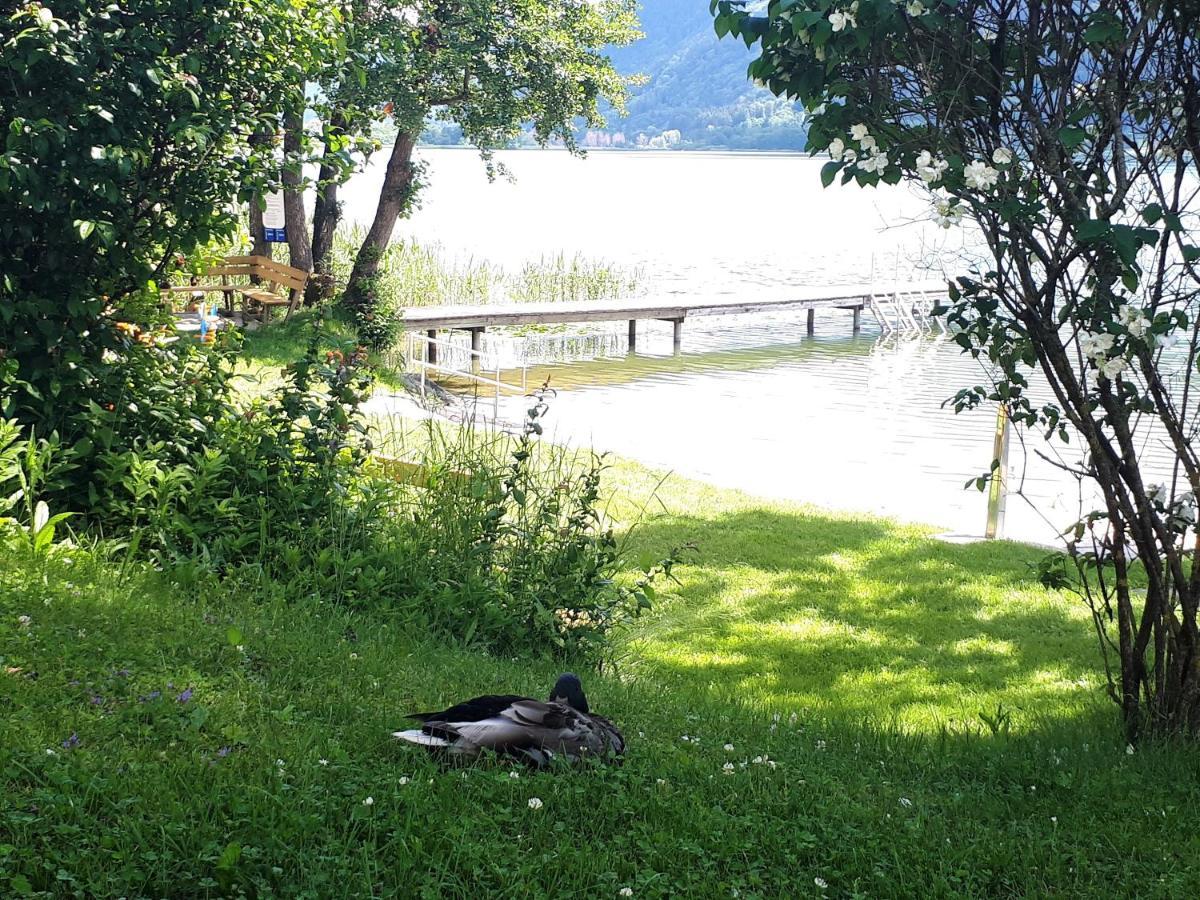 Anna Seeblick Appartement, Haus Haensel&Gretel Am Ossiachersee Mit Direktem Seezugang, Hallenbad Боденсдорф Экстерьер фото